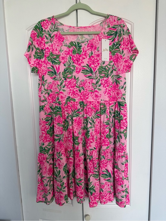 Lilly Pulitzer Dresses & Skirts - Lilly pulitzer geanna dress in konch shell pink koala la la xl NWT